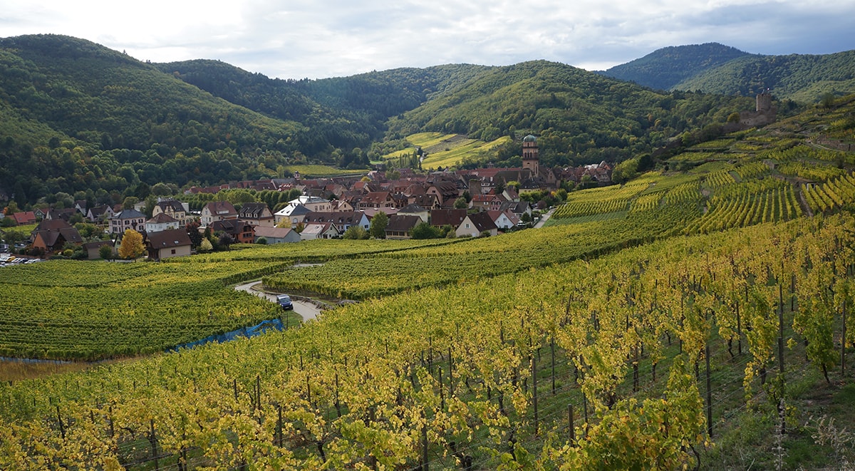 Private Alsace Wine Tour - Paris Luxury Tours