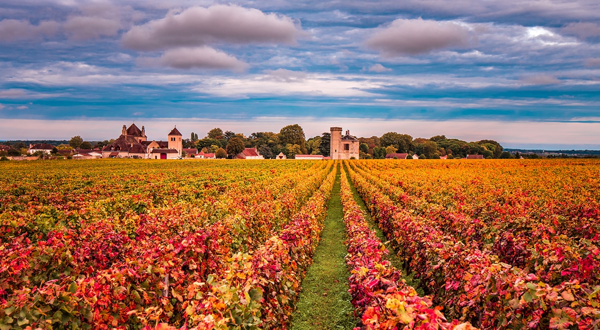 burgundy wine tour from paris