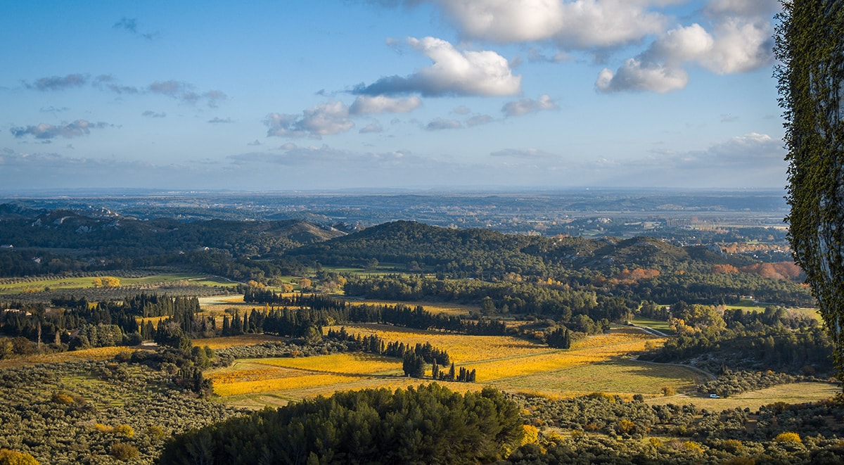 cezannes-provence-tour