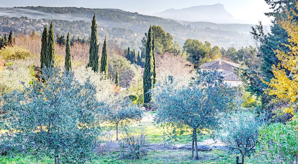 cezannes-provence-tours