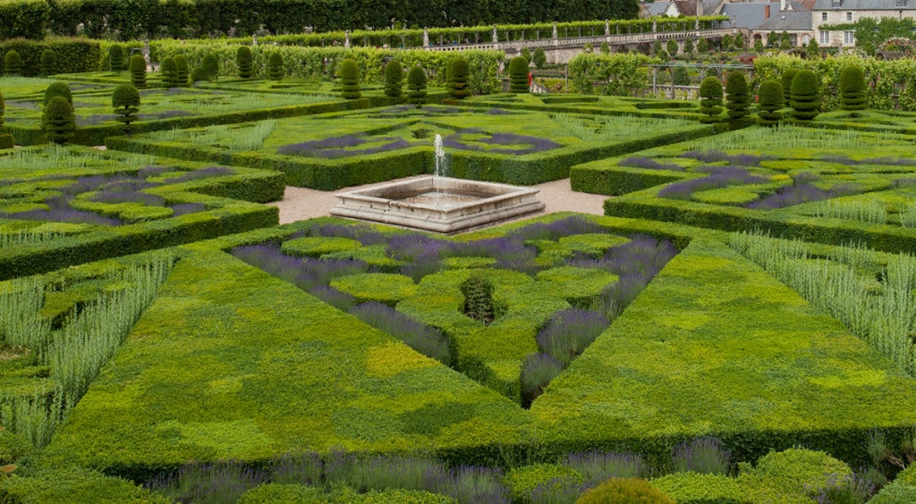 A detail of one of Villandry's gardens