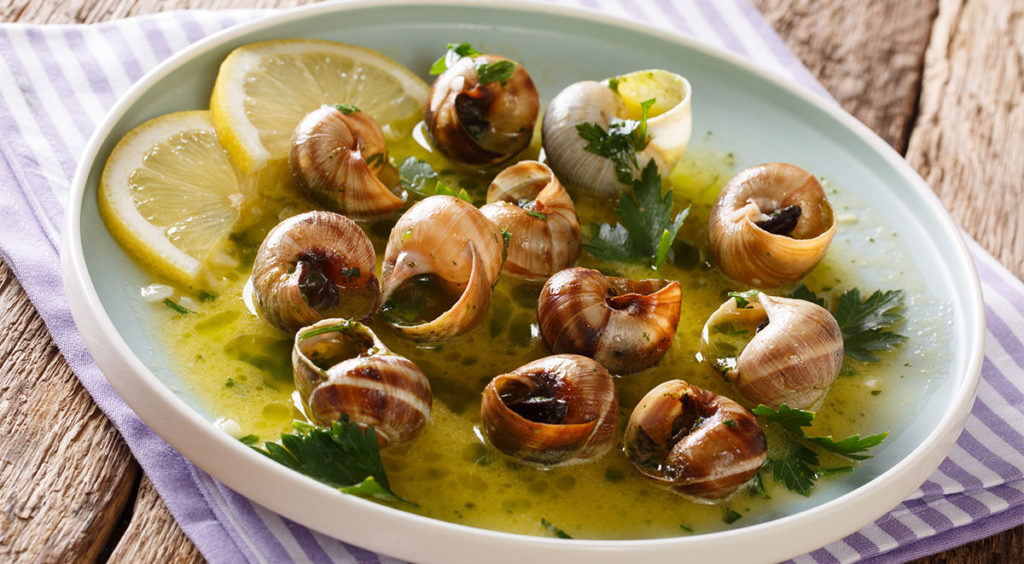 Snails become fine cuisine in Burgundy