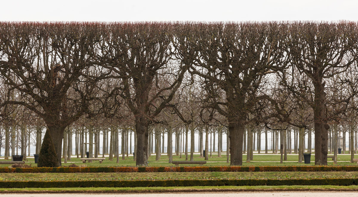 The chateau de Sceaux, The view of the park from the Chateau de Sceaux