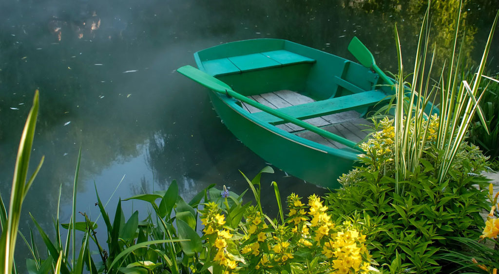 Lily pad pond row boat