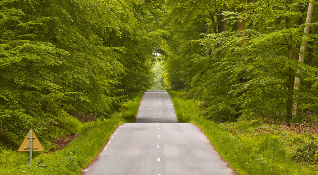 The largest beech forest in Europe surrounds Lyons-la-Forêt