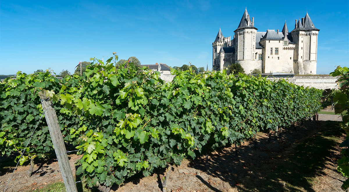 tours loire valley wine