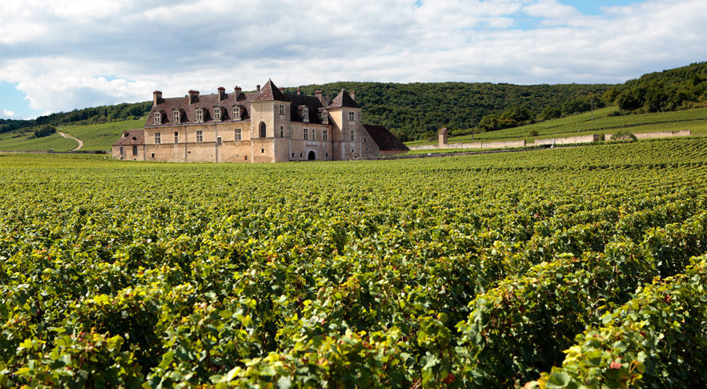 The Château de Clos de Vougeot dominates the Vougeot vineyards