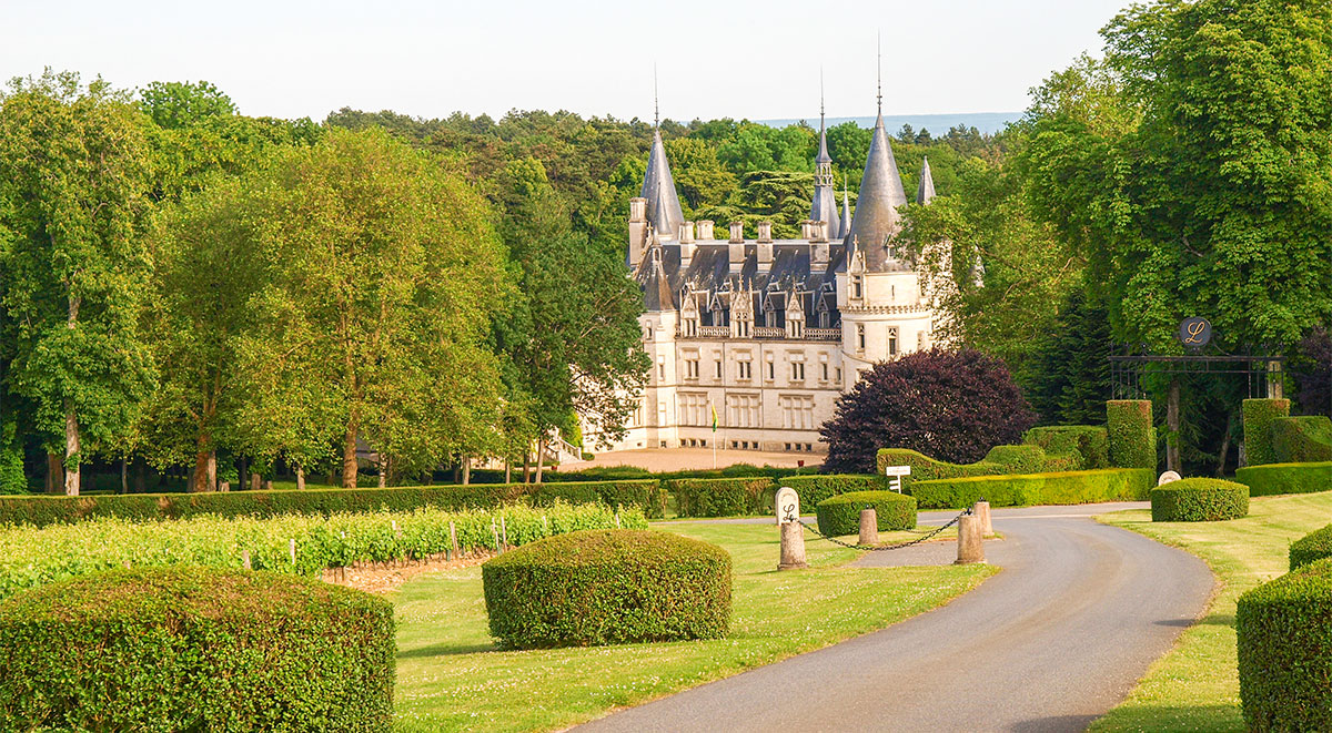 Touraine vineyards