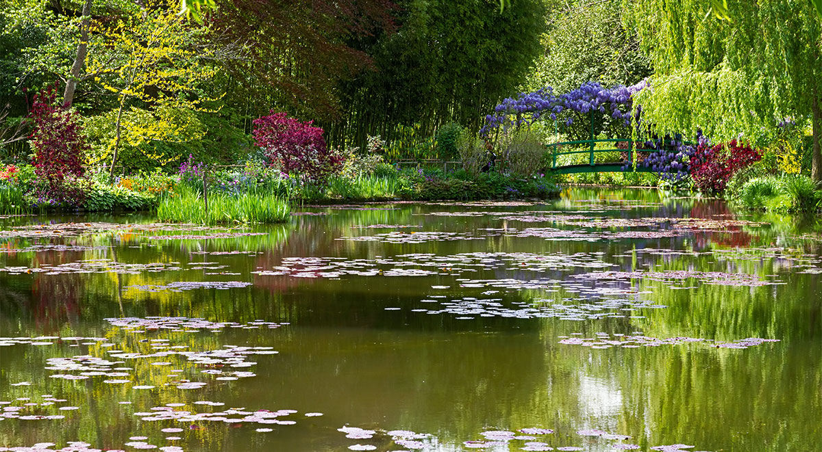 View from bridge over lily pad pond