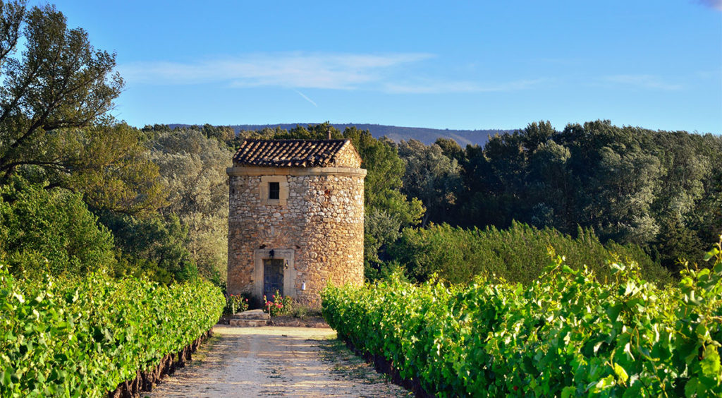 A medieval farmhouse in a Vaucluse vineyard