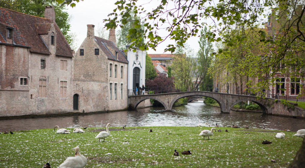 Bruges Minnewater Detail