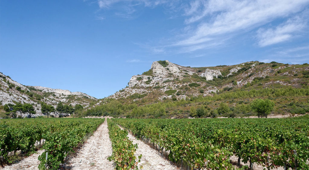 Baux-en-Provence vines surrounded by the Alpilles mountains