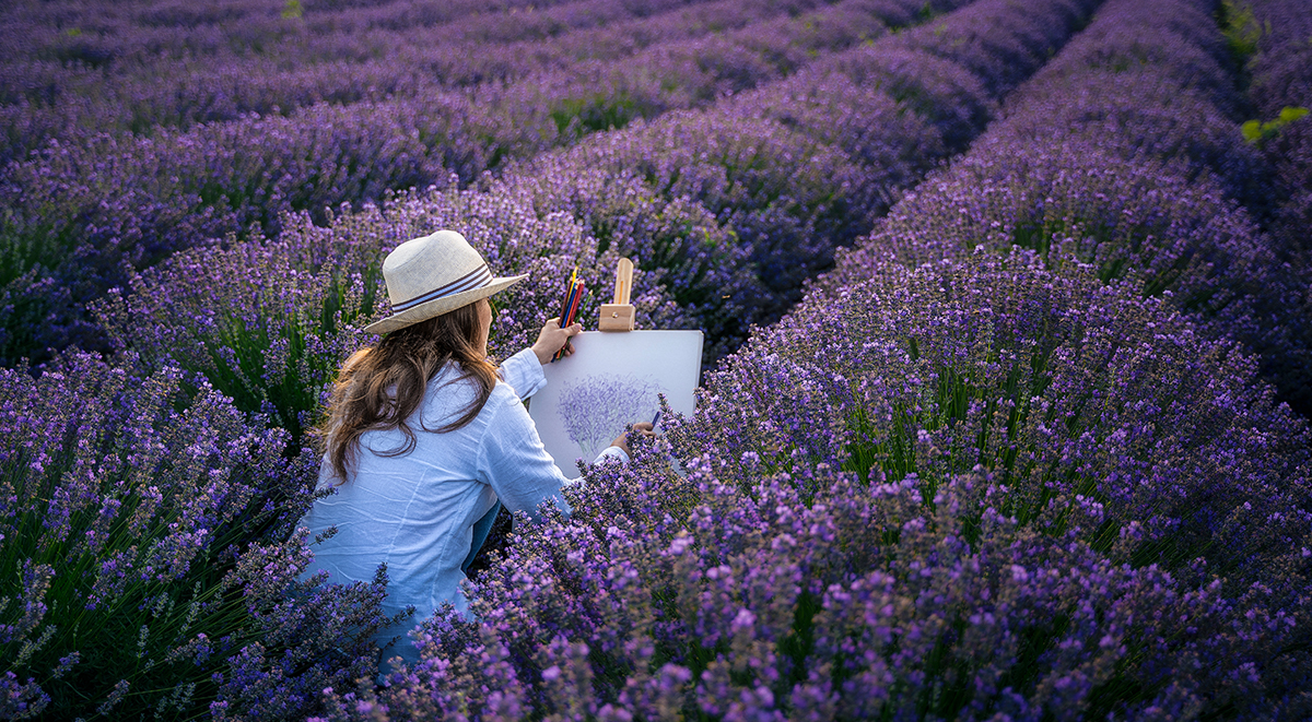 Provence-Tour